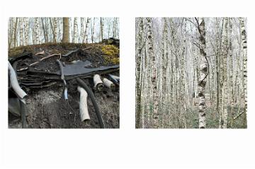 Industriewald Ruhrgebiet